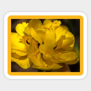 Yellow Flower Sticker